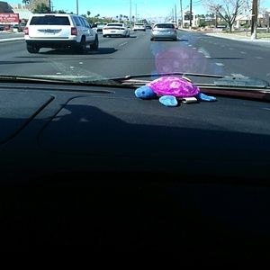 Meet your Posher, Raymond